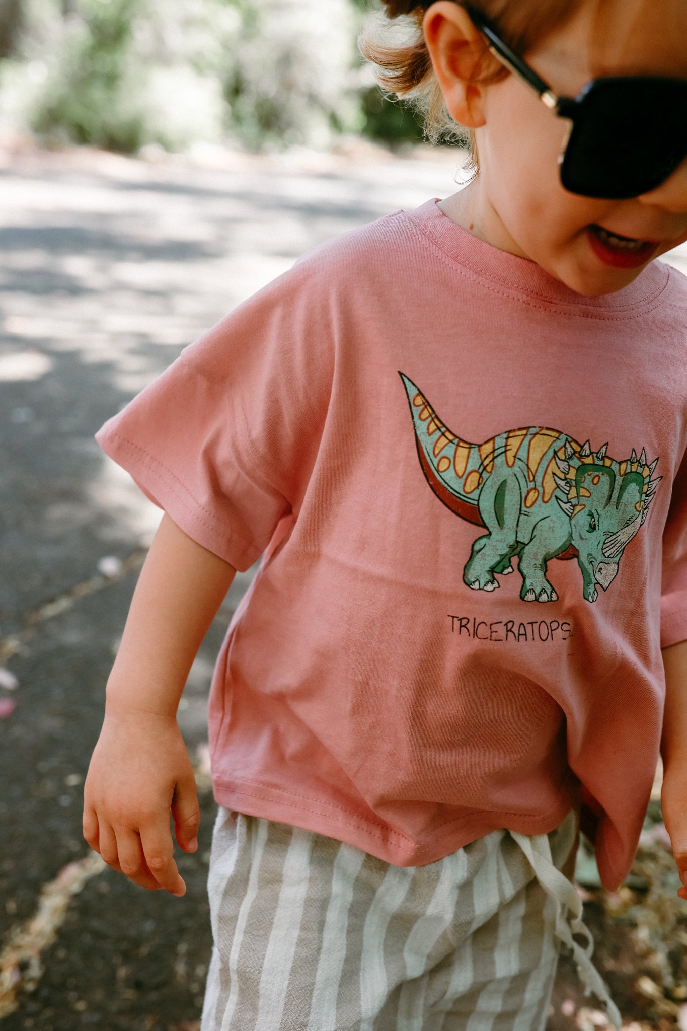 Dino Graphic Tshirts