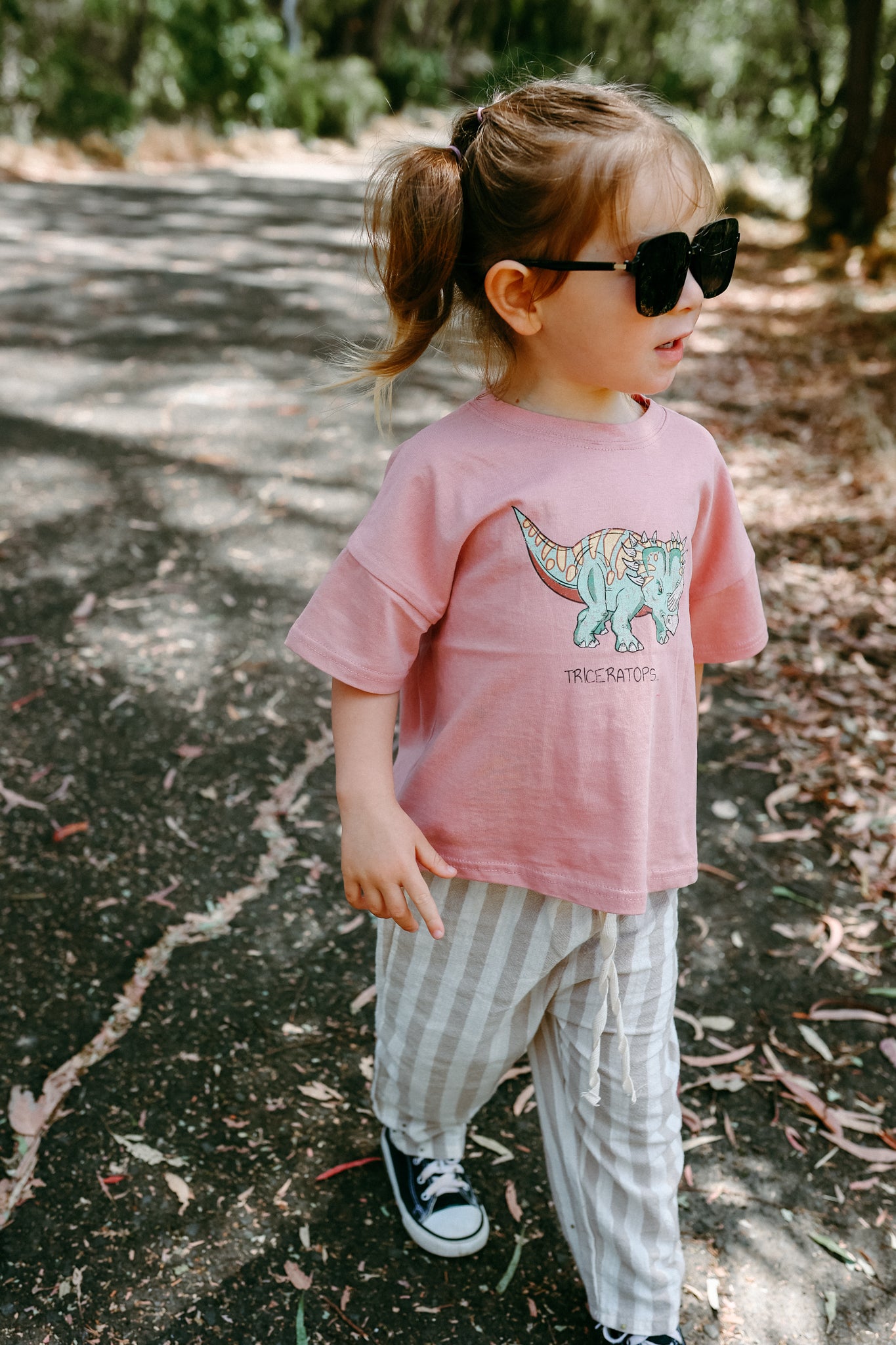 Dino Graphic Tshirts