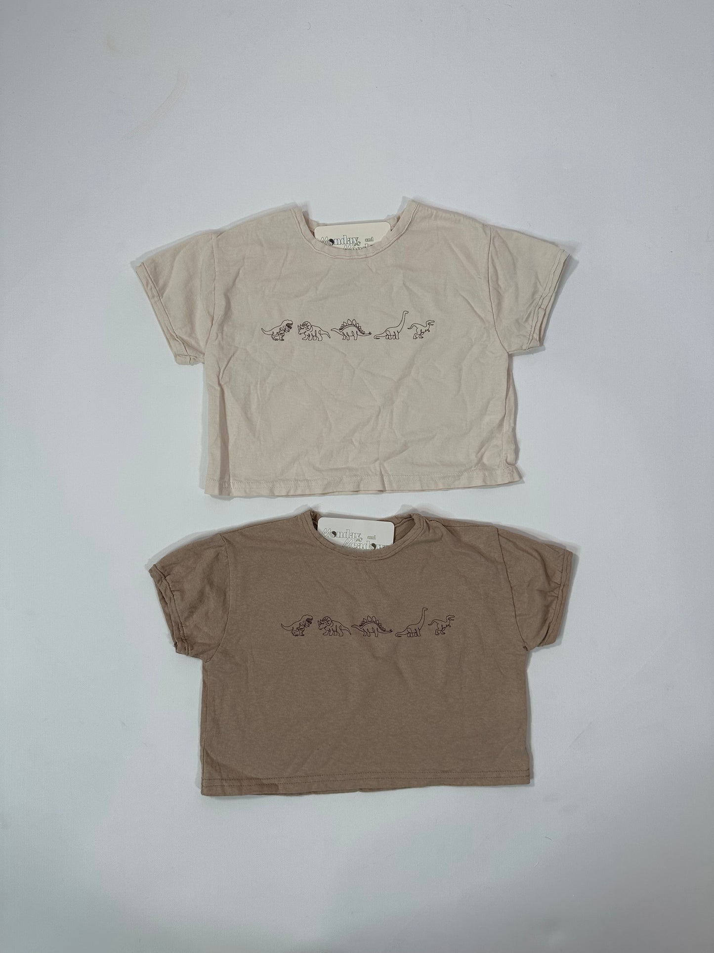 Neutral Dinos Toddler Tshirt