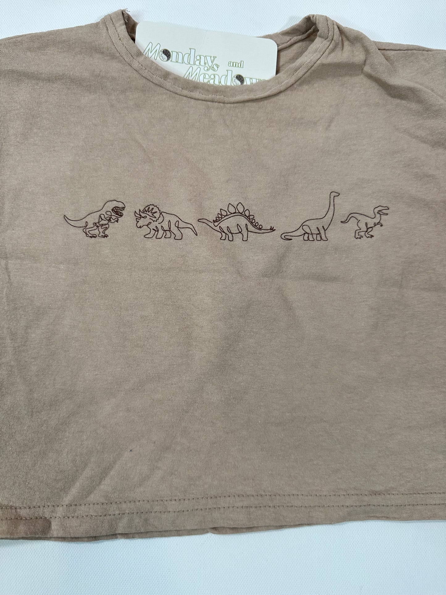 Neutral Dinos Toddler Tshirt