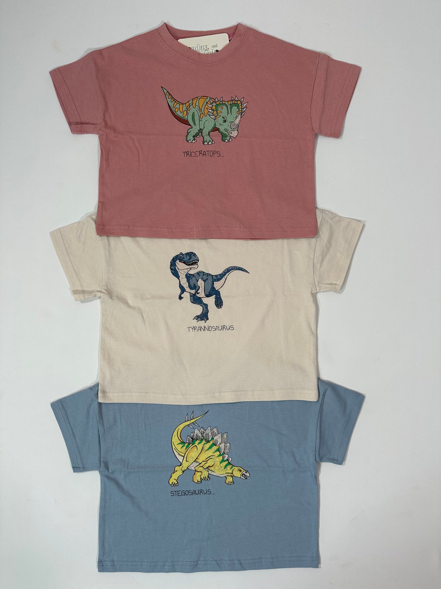 Dino Graphic Tshirts