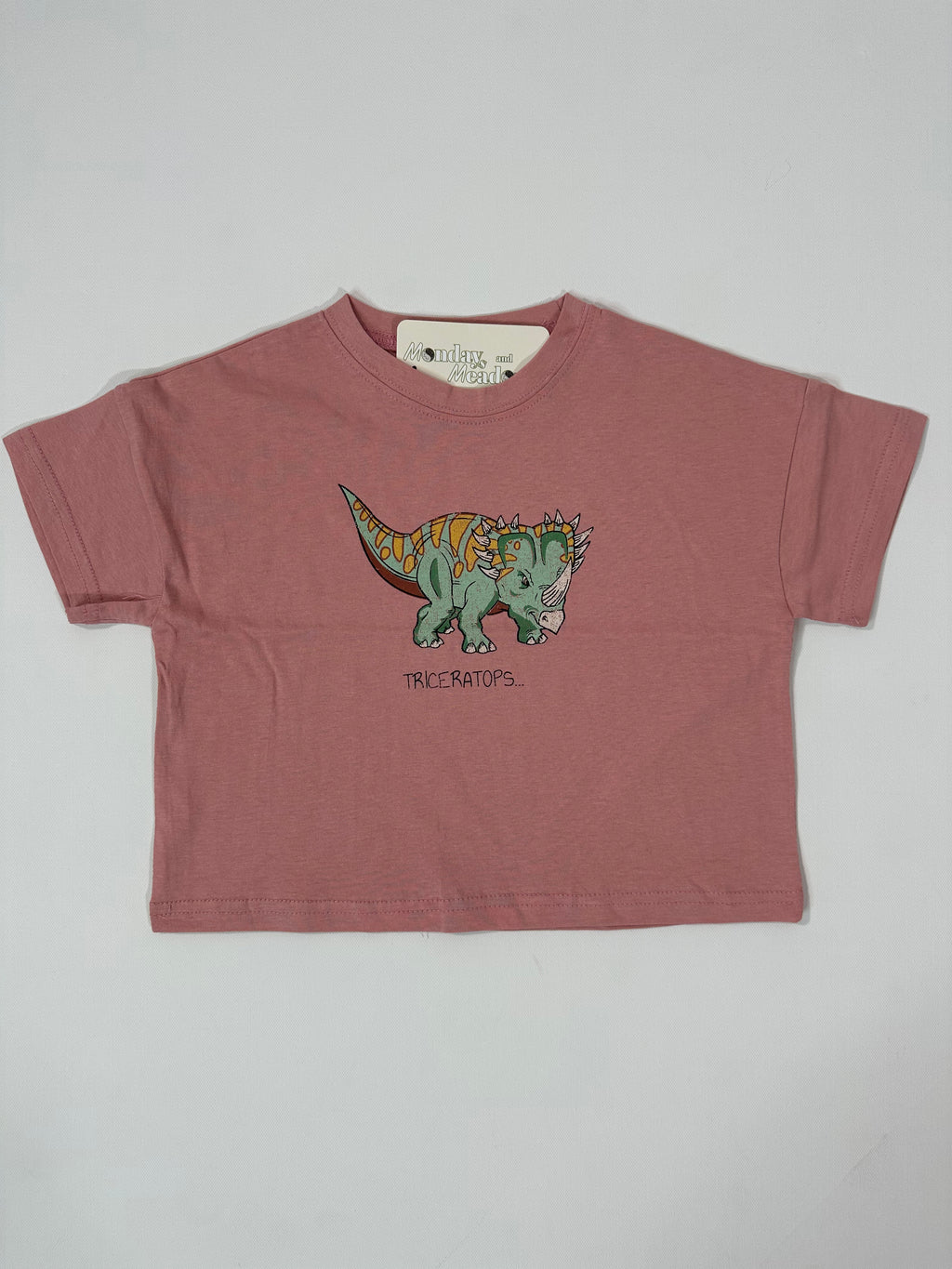 Dino Graphic Tshirts