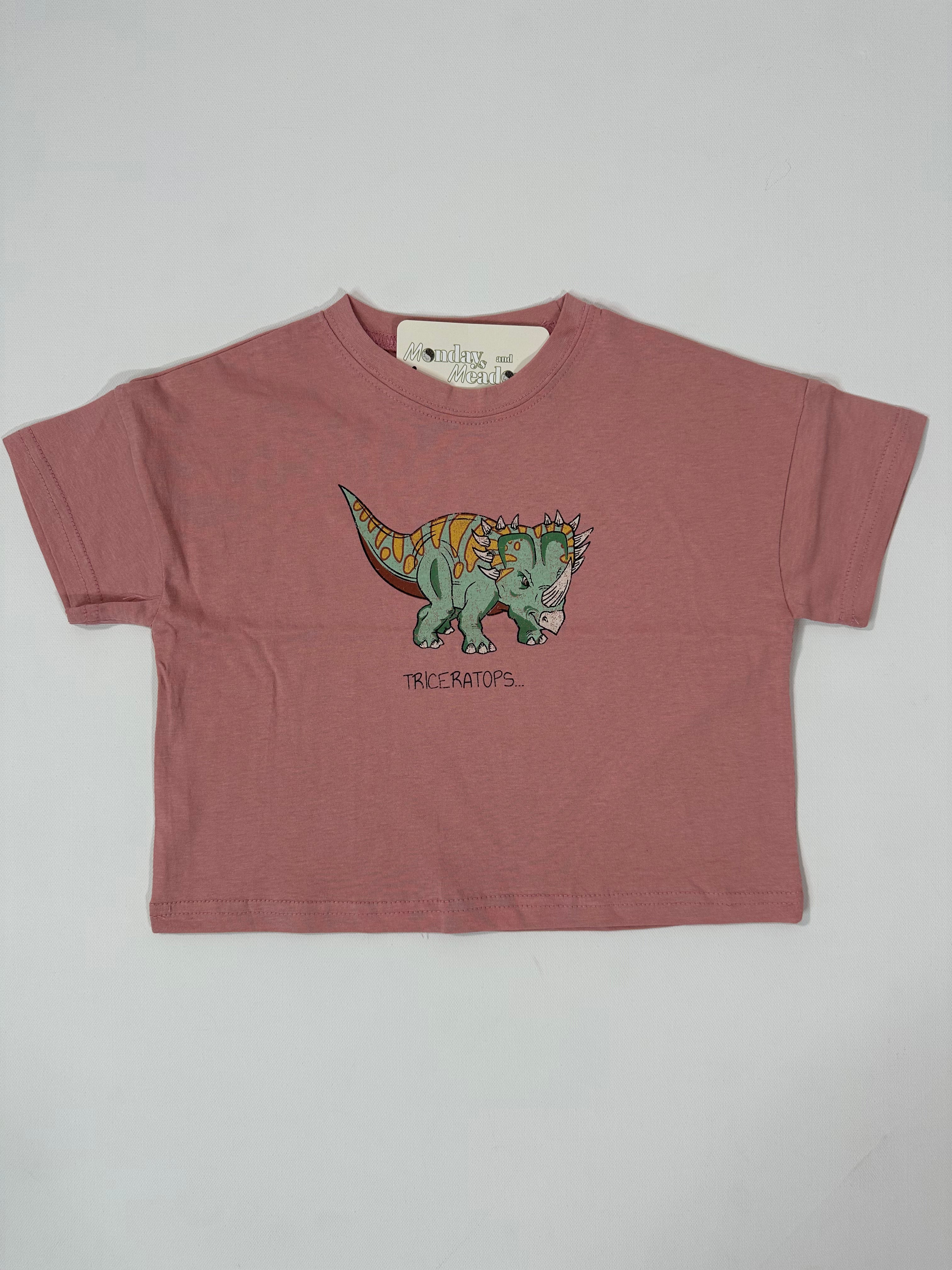 Dino Graphic Tshirts