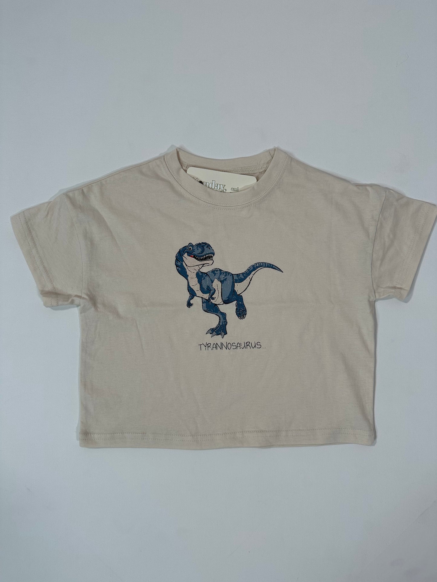 Dino Graphic Tshirts