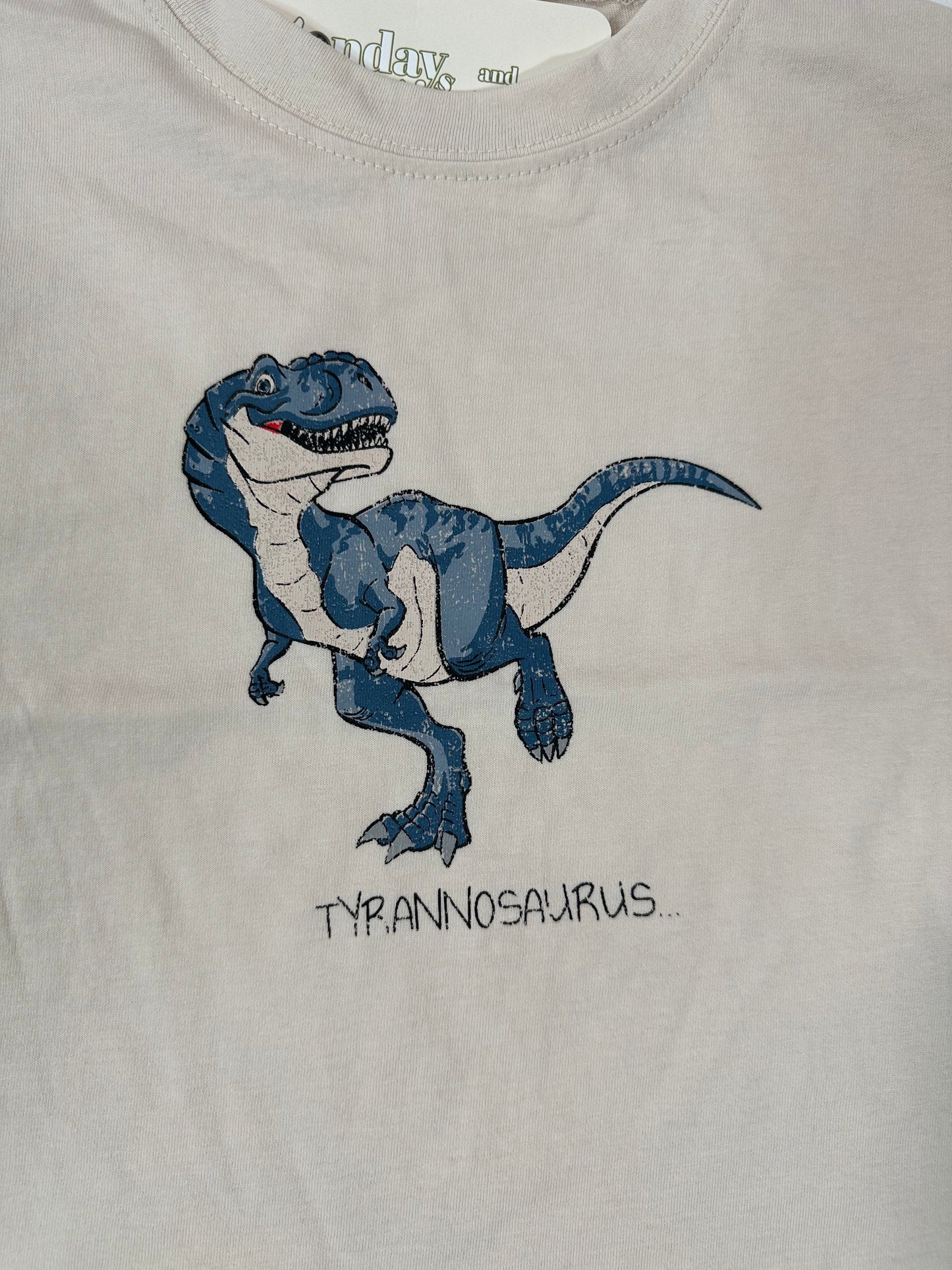 Dino Graphic Tshirts