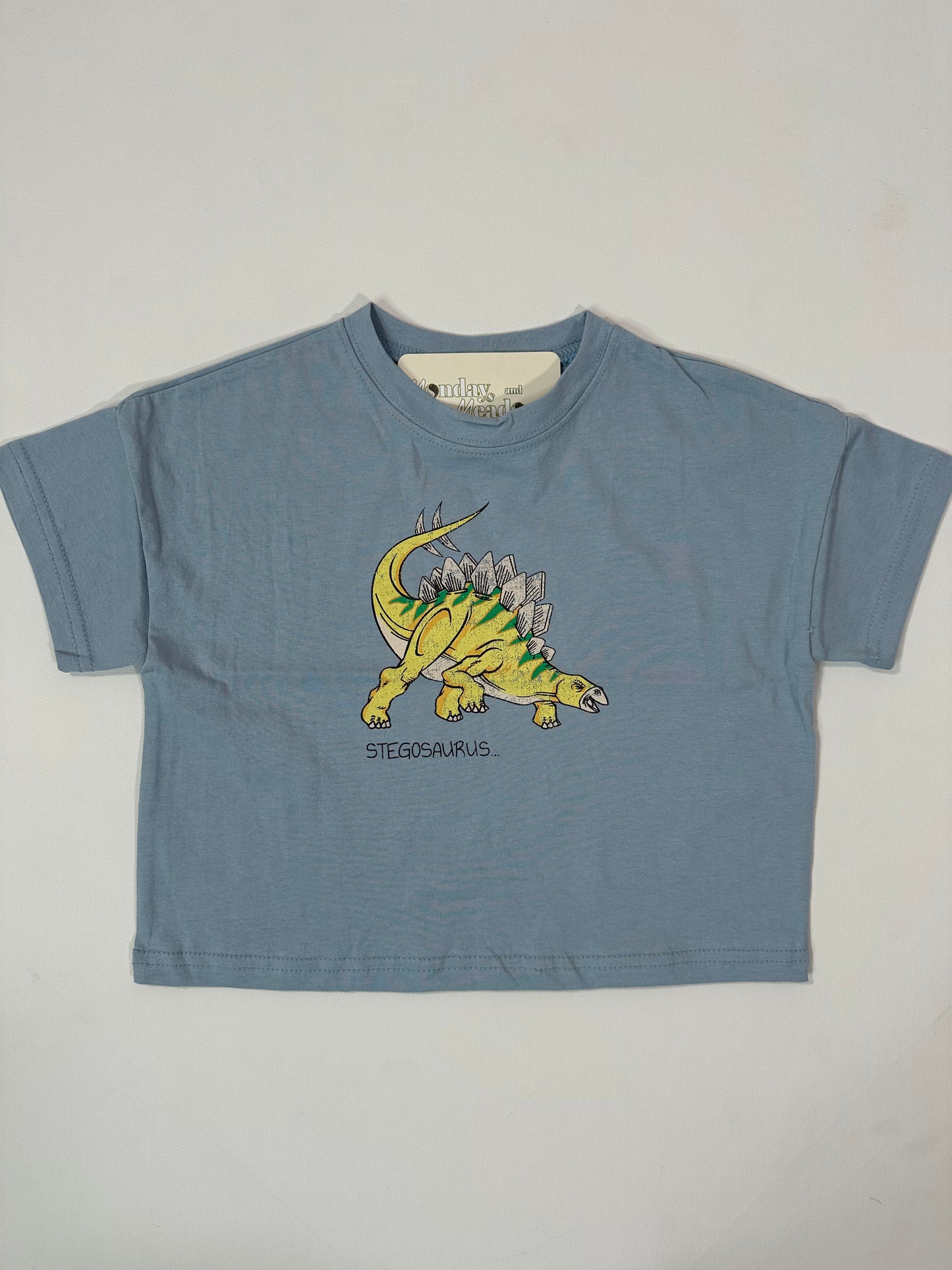 Dino Graphic Tshirts