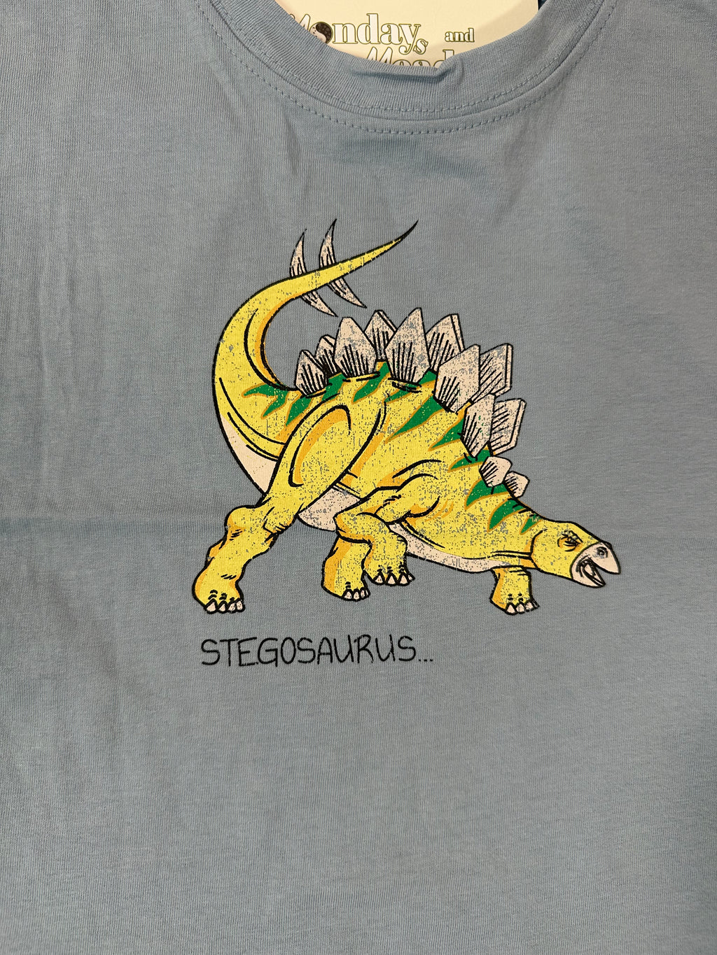 Dino Graphic Tshirts