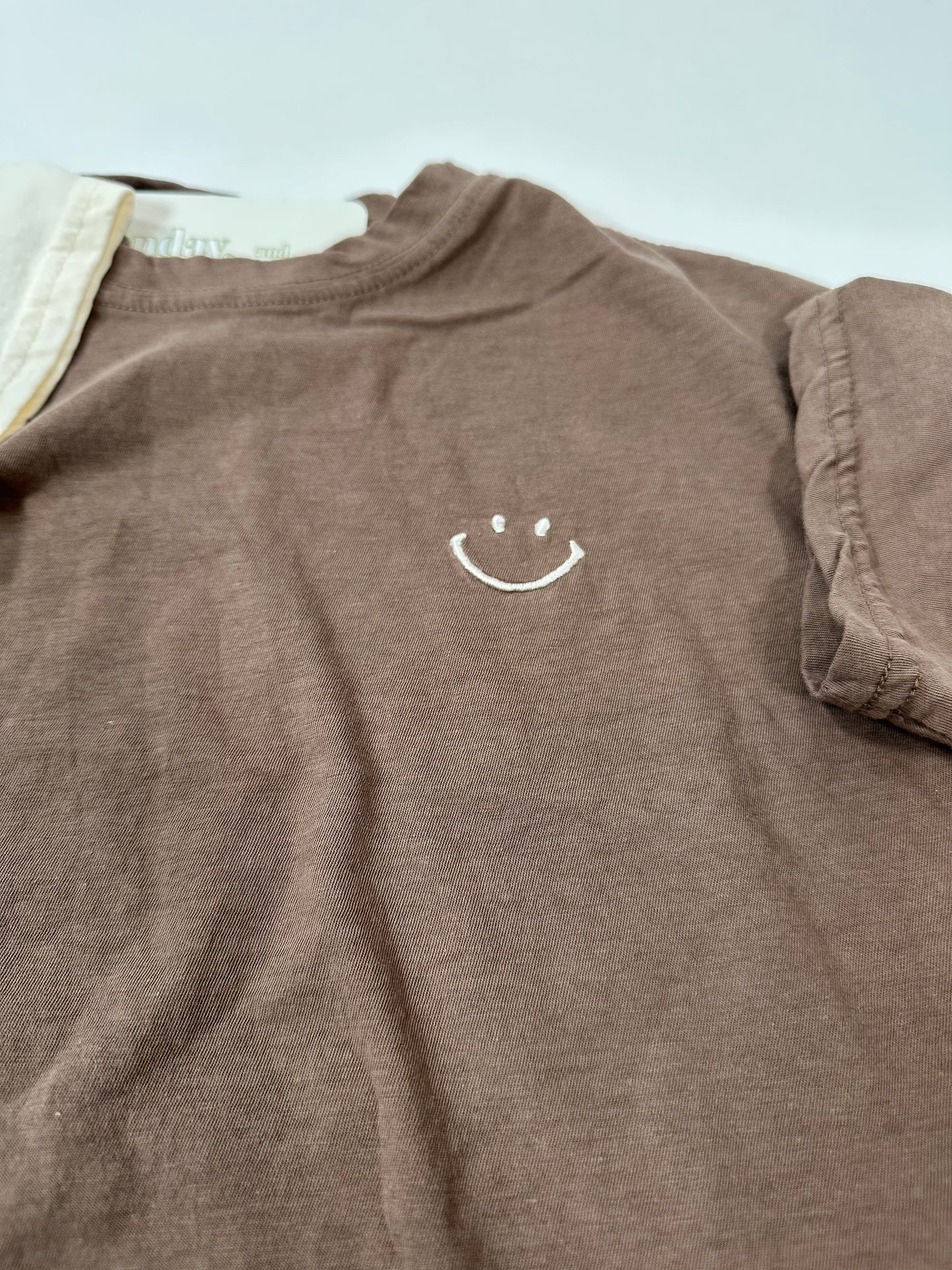 Simple Embroidered Smiley Neutral Tshirt