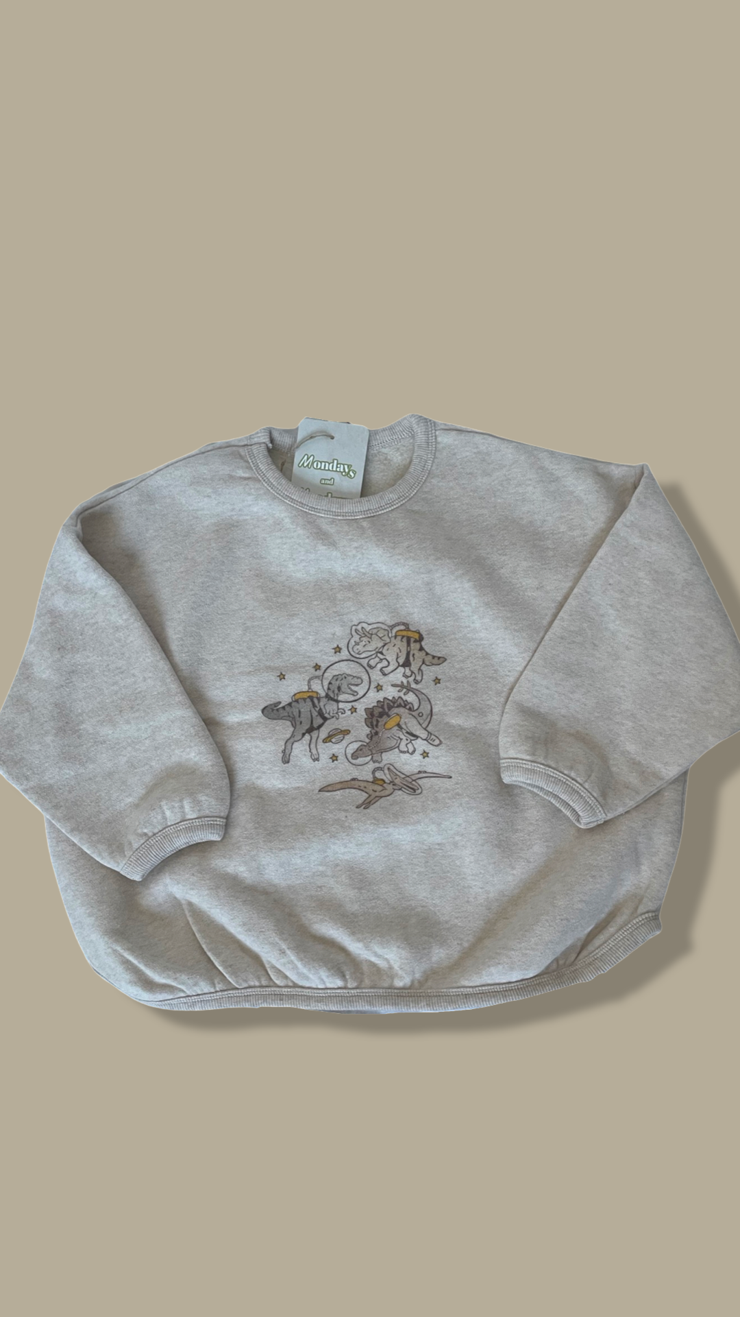 Dinos in Space Sweatshirt