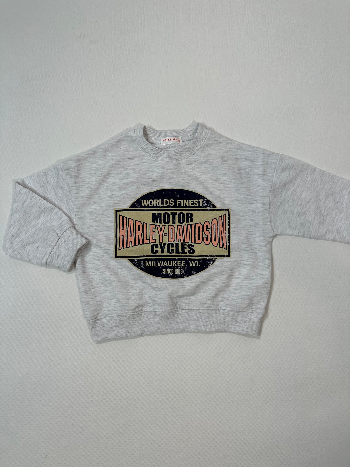 Harley Davidson Lightweight Sweatshirt