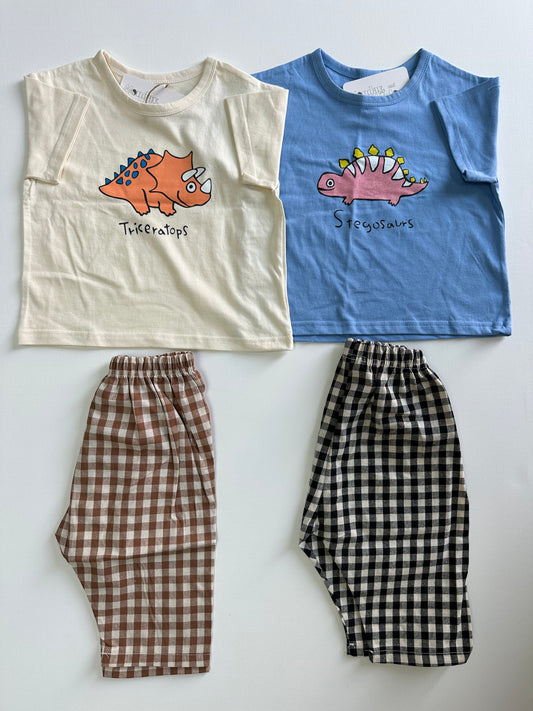 Dino Tshirt and Gingham Ankle Pants Set